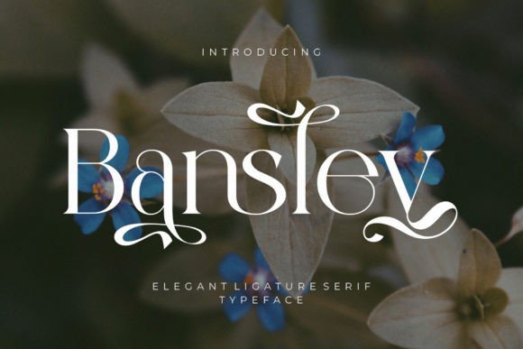 Bansley: A Serif Font for Elegant Branding