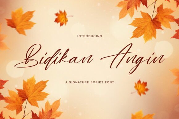 Bidikan Angin: A Designer's Review for Real Projects