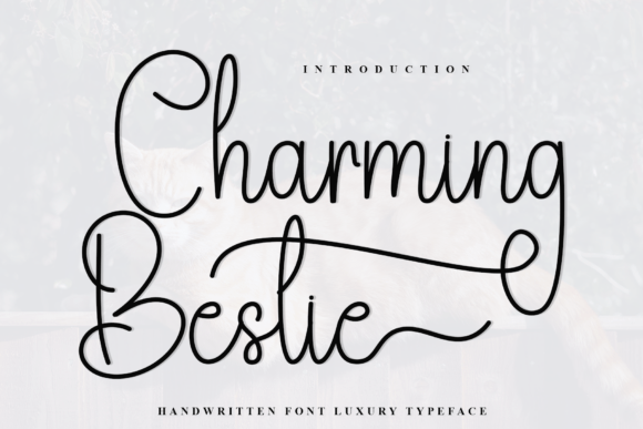 Charming Bestie: The Perfect Handwritten Font for Crafters