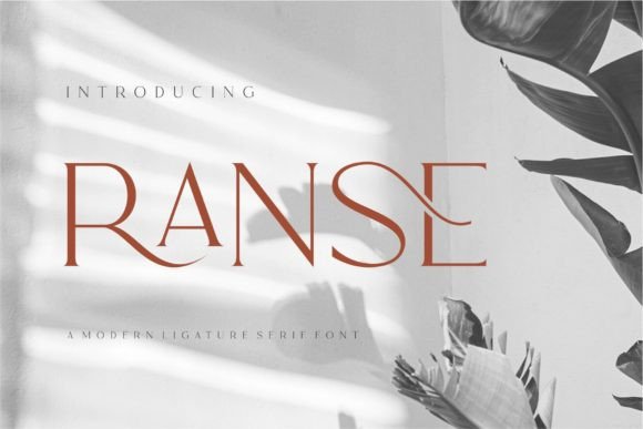 Ranse: A Premium Serif Typeface for Modern Web Design