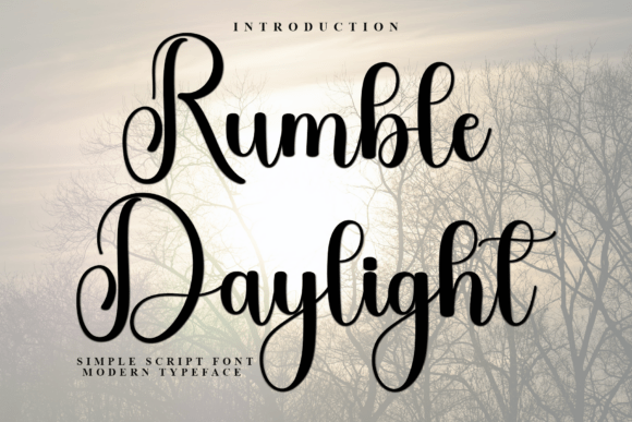 Rumble Daylight Font Review for Web Designers