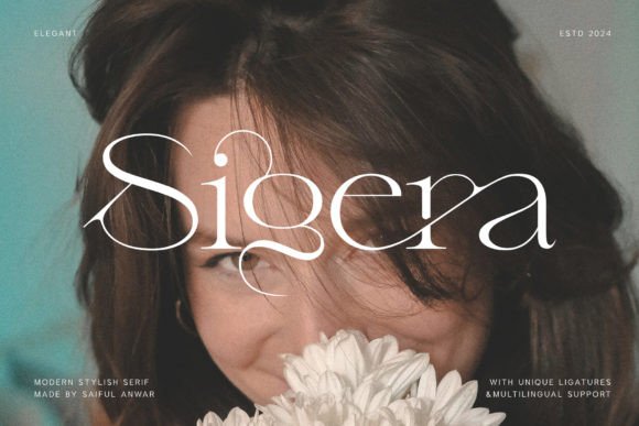 Sigera: A Serif Font for Real-World Design