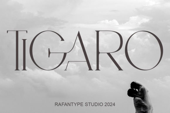 Tigaro: A Serif Font for Real-World Design